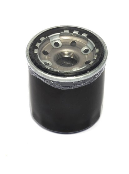 WORKER 500 (1999 - 2001) oil filter | ATHENA