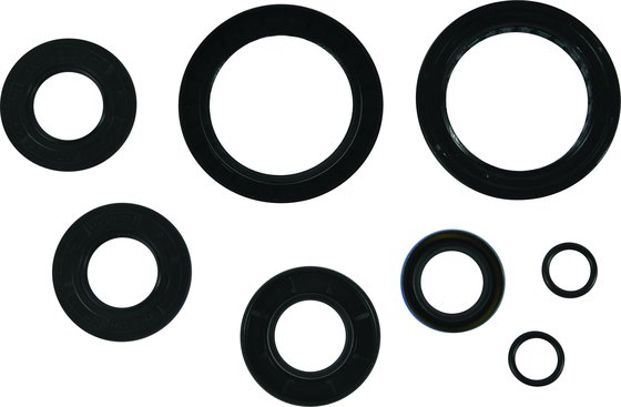 SPORTSMAN DIESEL 455 (2000 - 2001) transaxle seal kit | All Balls