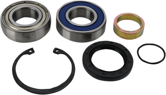 600 SHIFT (2011 - 2011) lower-track drive shaft bearings and seals kit | All Balls