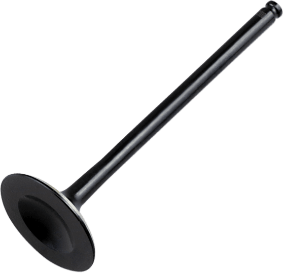 SPORTSMAN 570 (2014 - 2018) exhaust valve steel | Hot Cams