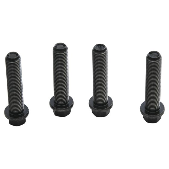 RZR 1000 (2014 - 2022) connecting rod bolt kit | Hot Rods