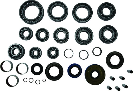 570 ACE (2017 - 2019) transaxle bearing and seal kit | All Balls