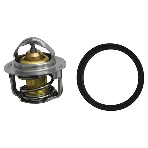 SCRAMBLER 1000 (2014 - 2020) thermostat for polaris | All Balls