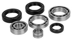 GENERAL 1000 (2016 - 2022) transaxle bearing and seal kit | All Balls