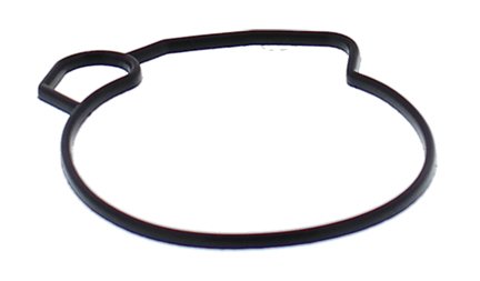 SPORTSMAN 90 (2001 - 2003) float bowl gasket only closed course racing only | All Balls