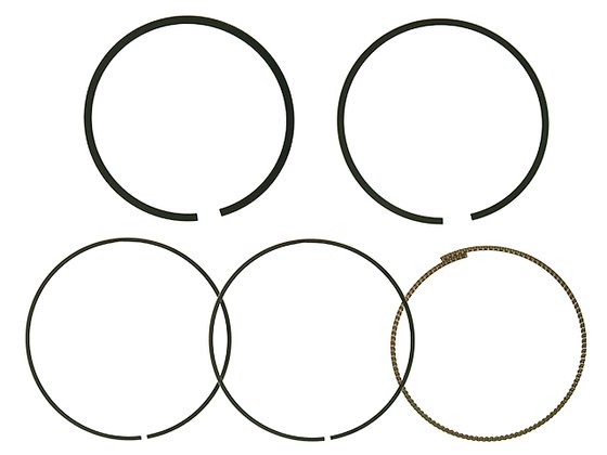 RZR 570 (2012 - 2016) piston rings | NAMURA