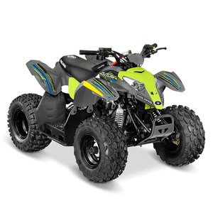 2006 - 2019 POLARIS OUTLAW 50