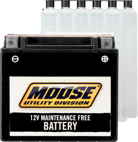 PHOENIX 200 (2005 - 2019) mud battery ytx12-bs | MOOSE UTILITY DIVISION