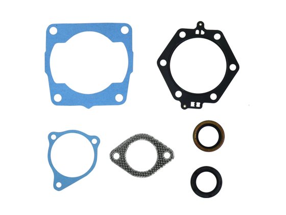 300 (1994 - 1995) complete seal kit | NAMURA